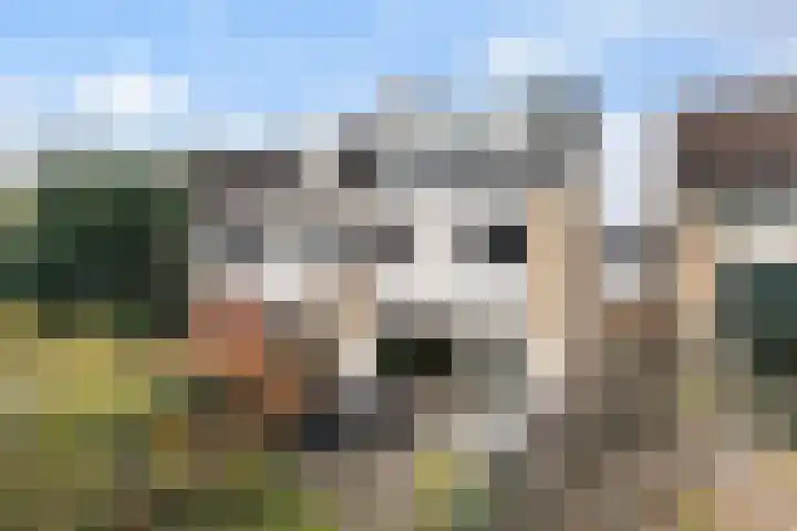 Geerbron 24 Pijnacker thumbnail 5