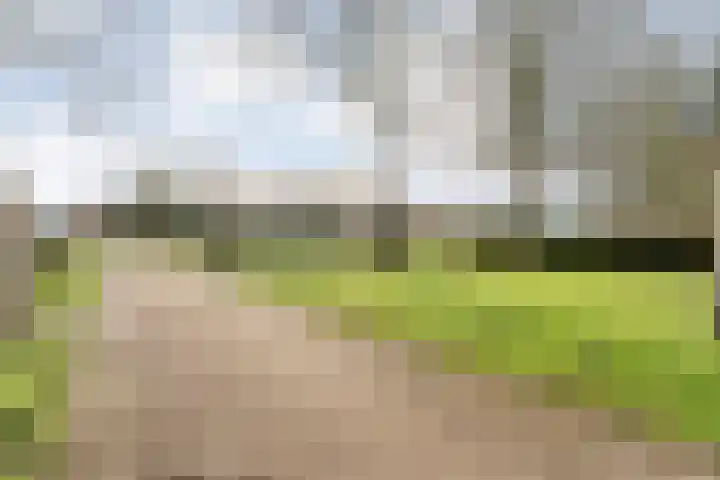 Geerdijk 25 a Vroomshoop thumbnail 10