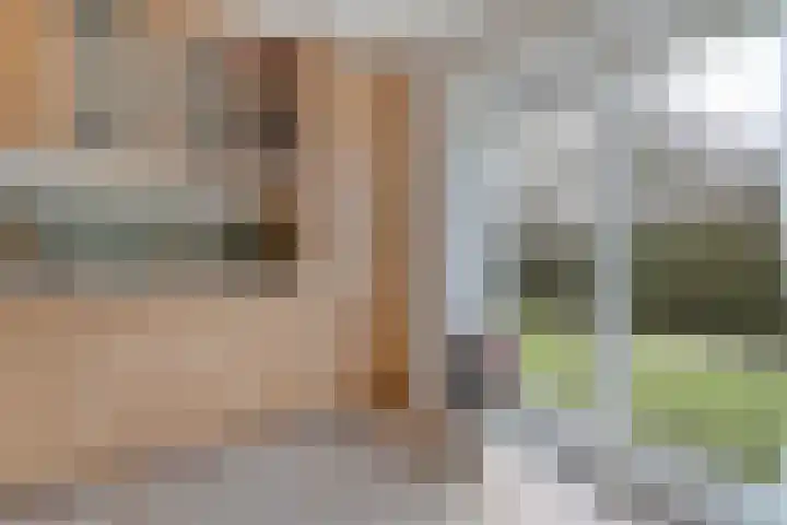 Geerdijk 25 a Vroomshoop thumbnail 30