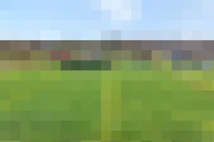 Geerdijk 25 a Vroomshoop thumbnail 51