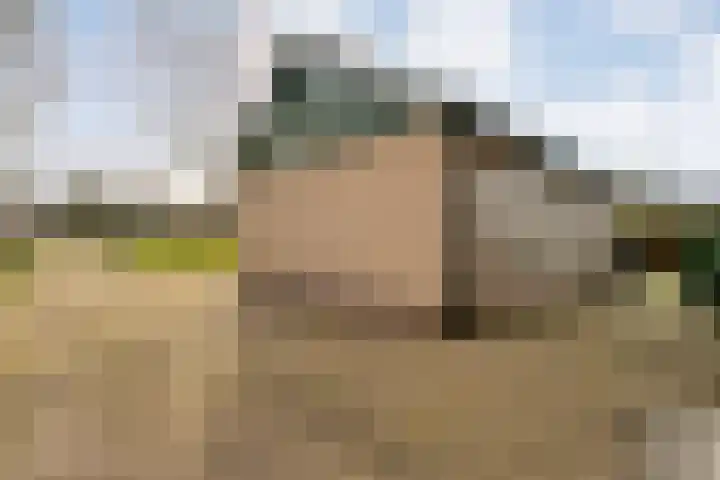 Geerdijk 25 a Vroomshoop thumbnail 54