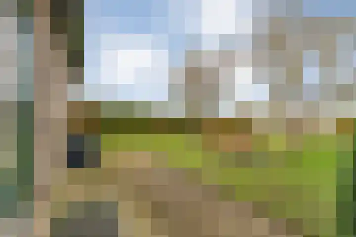Geerdijk 25 a Vroomshoop thumbnail 55