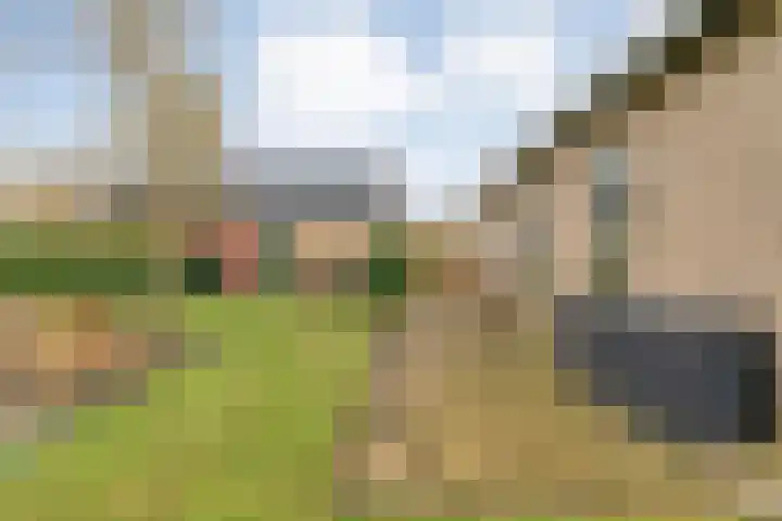 Geerdijk 25 a Vroomshoop thumbnail 56