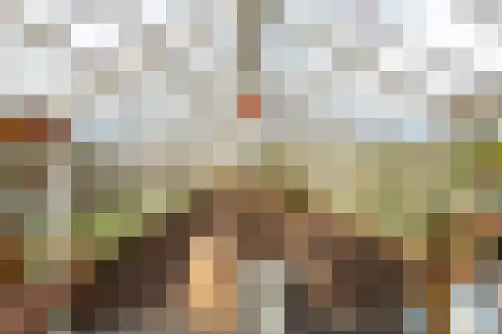 Geerdijk 25 a Vroomshoop thumbnail 61