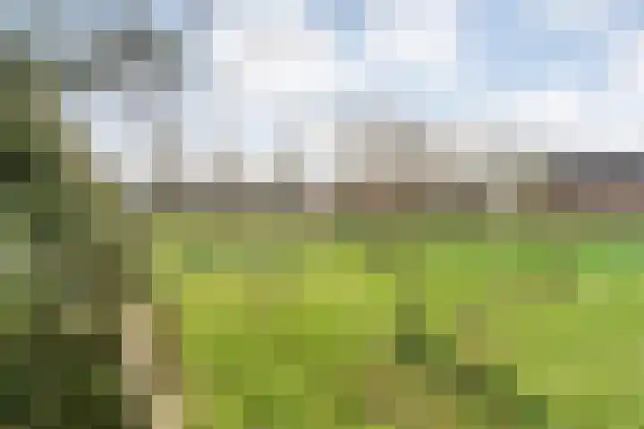 Geerdijk 25 a Vroomshoop thumbnail 63