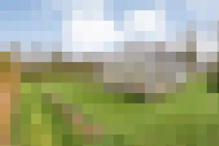 Geerdijk 25 a Vroomshoop thumbnail 64