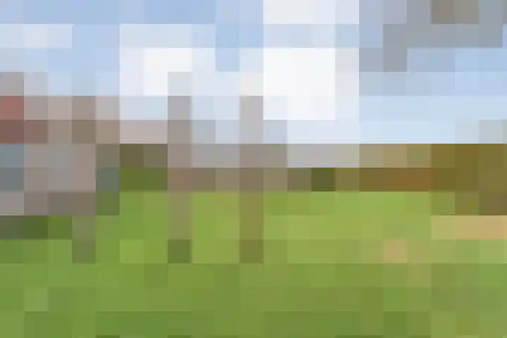 Geerdijk 25 a Vroomshoop thumbnail 67