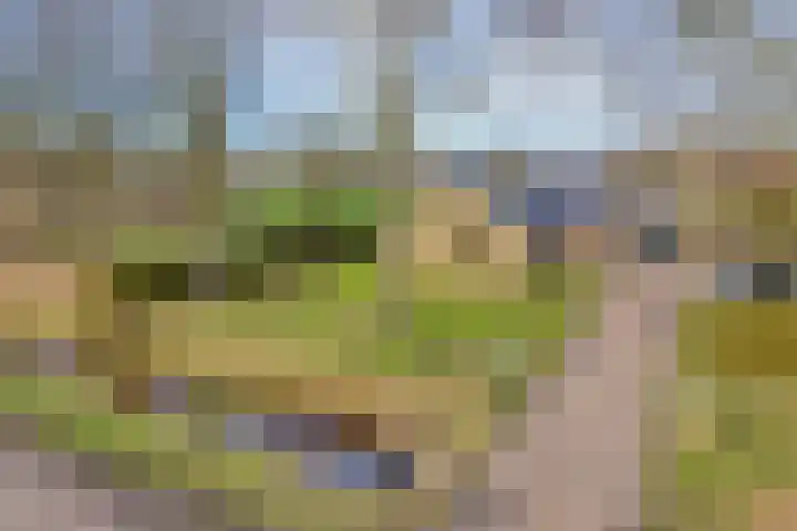 Geerdijk 25 a Vroomshoop thumbnail 76