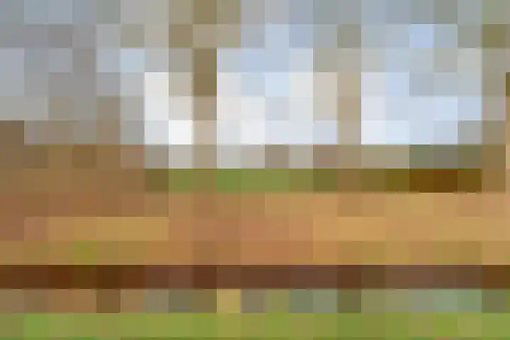 Geerdijk 25 a Vroomshoop thumbnail 78