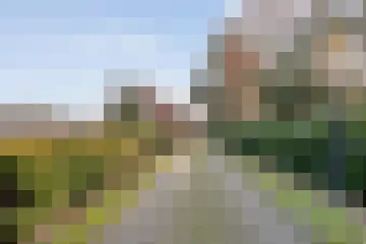 Geerdijk 42 Den Ham thumbnail 10