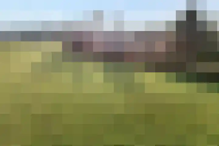 Geerdijk 42 Den Ham thumbnail 4