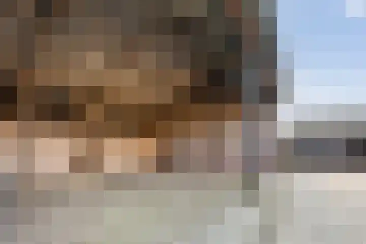 Geerdijk 42 Den Ham thumbnail 45