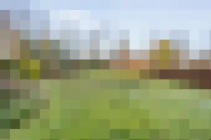 Geerdijk 42 Den Ham thumbnail 54