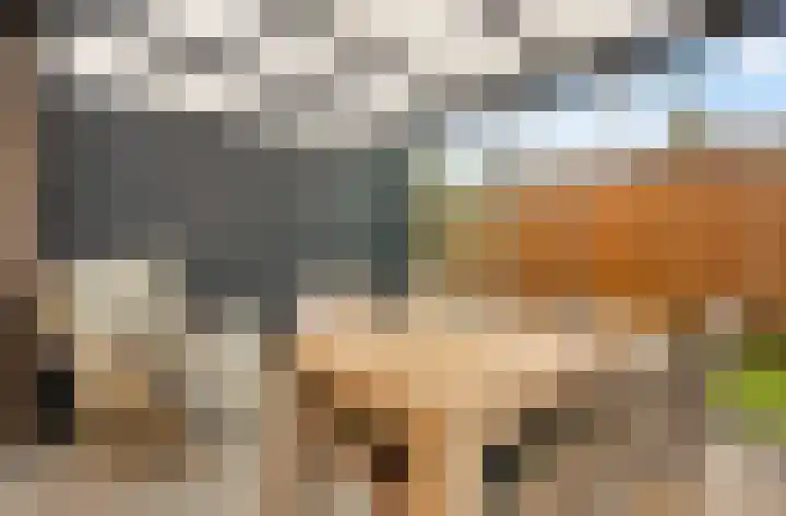 Geerdinkhof 224 Amsterdam thumbnail 16