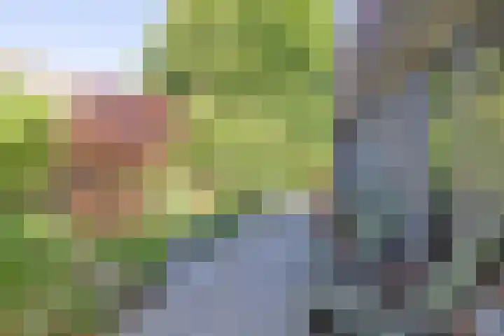 Geerdinkhof 228 Amsterdam thumbnail 18