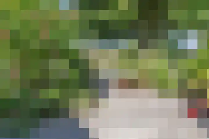 Geerdinkhof 228 Amsterdam thumbnail 20