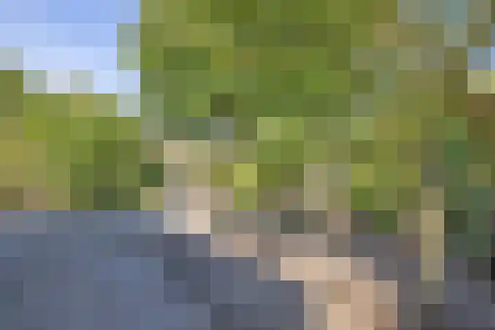 Geerdinkhof 228 Amsterdam thumbnail 21