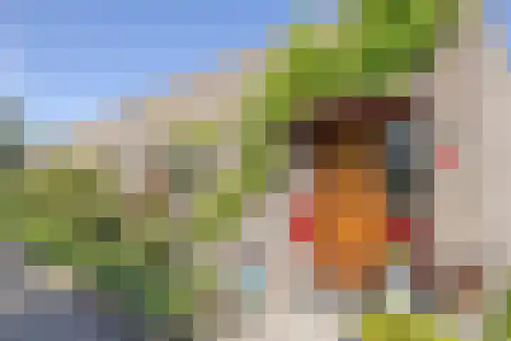 Geerdinkhof 228 Amsterdam thumbnail 5