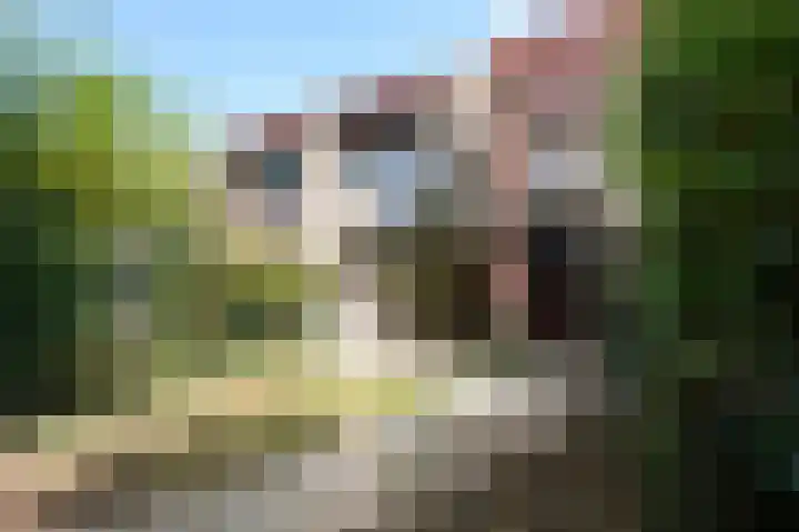 Geerdinkhof 379 Amsterdam thumbnail 18
