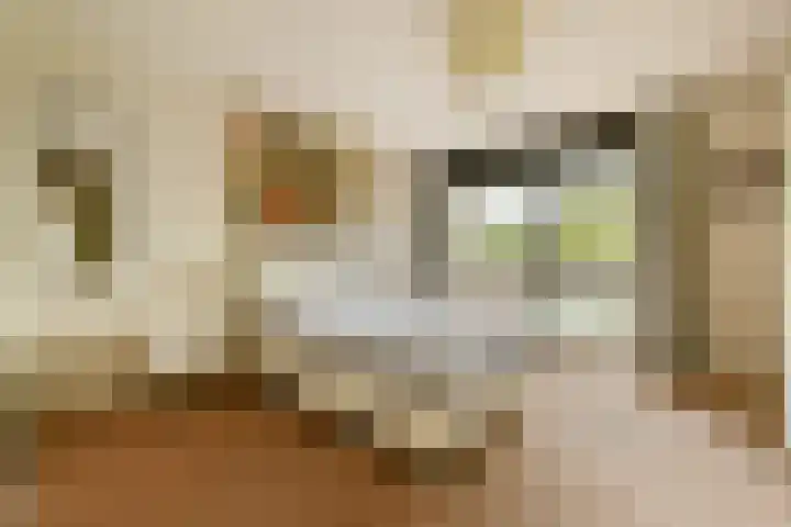 Geerdinkhof 441 Amsterdam thumbnail 13