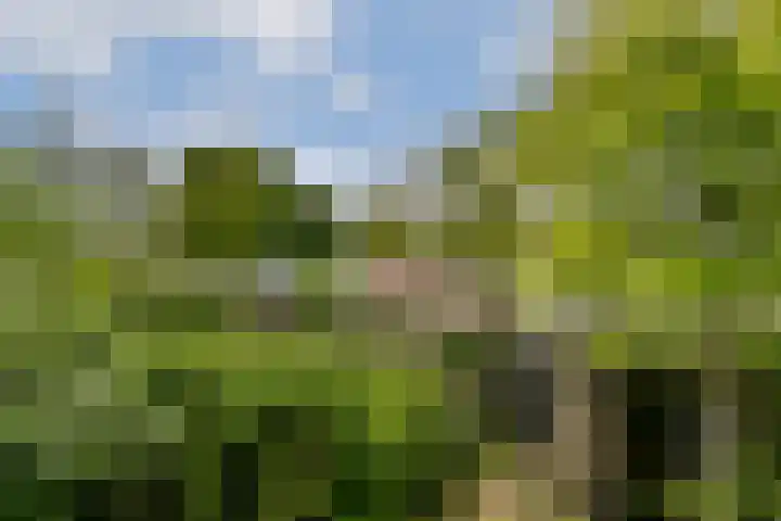 Geerdinkhof 441 Amsterdam thumbnail 23