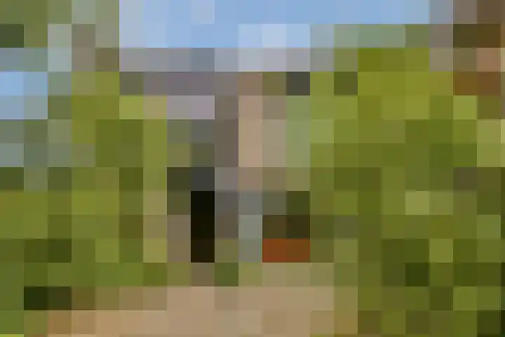 Geerdinkhof 441 Amsterdam thumbnail 39