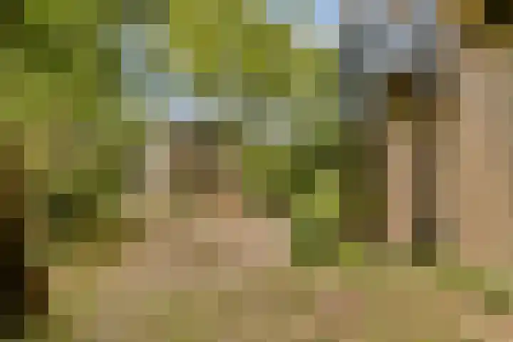 Geerdinkhof 441 Amsterdam thumbnail 5
