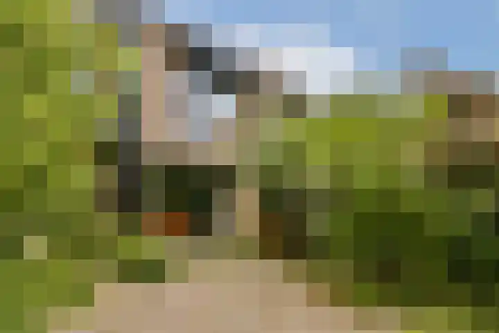 Geerdinkhof 441 Amsterdam thumbnail 7