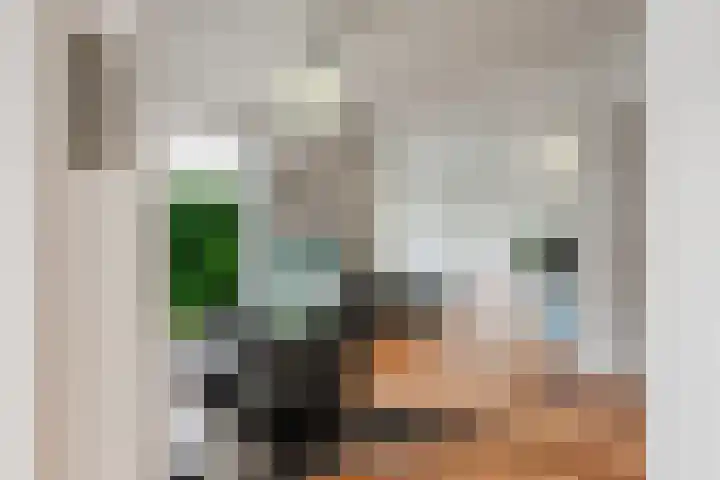Geerdinkhof 566 Amsterdam thumbnail 11