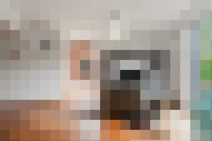 Geerdinkhof 566 Amsterdam thumbnail 16