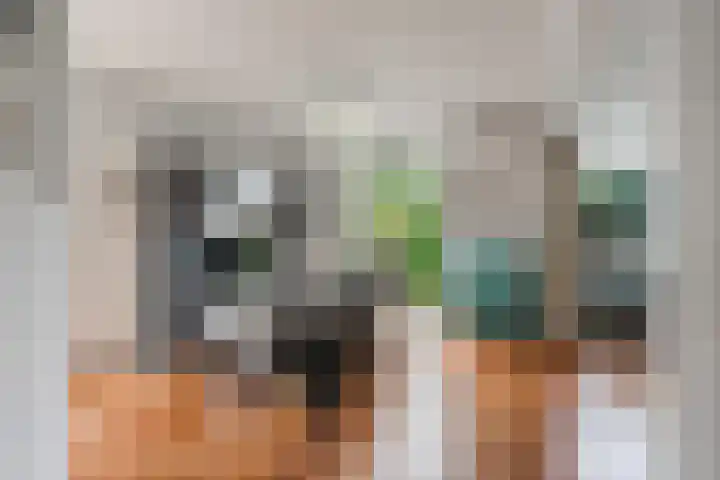 Geerdinkhof 566 Amsterdam thumbnail 17