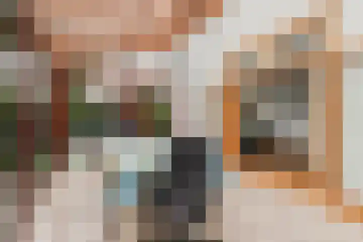 Geerdinkhof 566 Amsterdam thumbnail 21