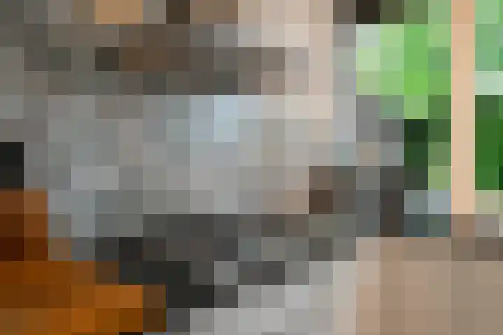 Geerdinkhof 566 Amsterdam thumbnail 25