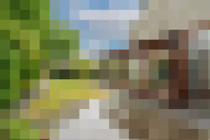 Geerdinkhof 566 Amsterdam thumbnail 29
