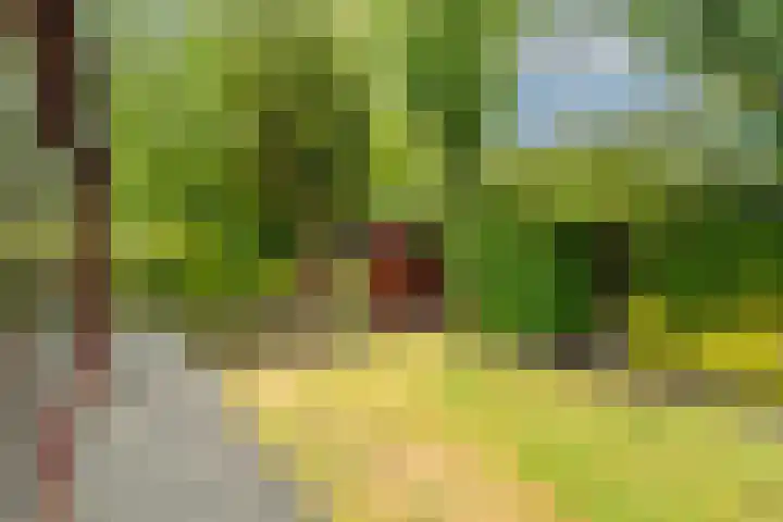Geerdinkhof 566 Amsterdam thumbnail 31