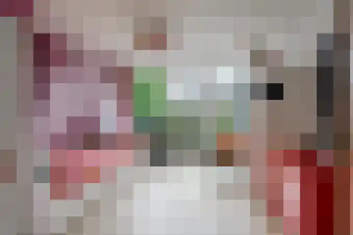 Geerdinkhof 566 Amsterdam thumbnail 38