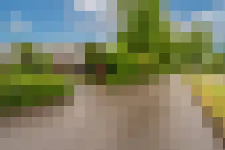Geerdinkhof 566 Amsterdam thumbnail 60
