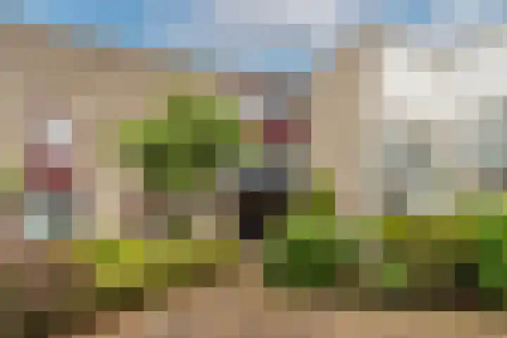 Geerdinkhof 566 Amsterdam thumbnail 8