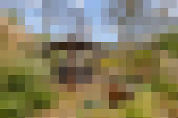 Geerdinkhof 73 Amsterdam thumbnail 21