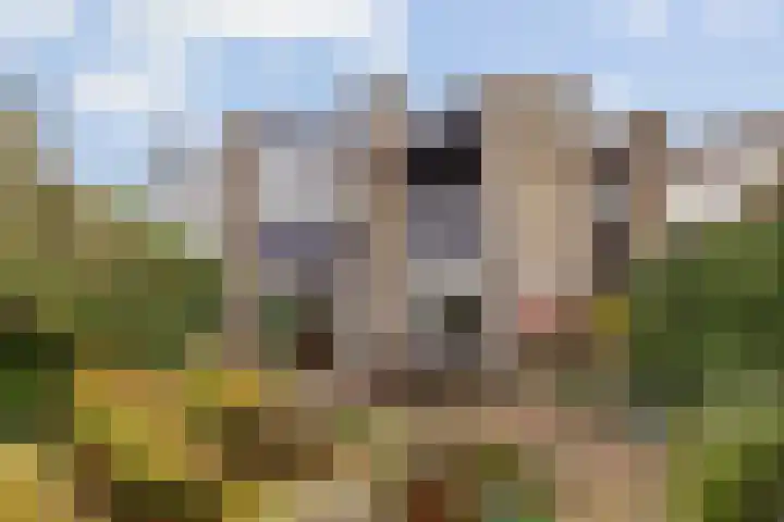 Geerdinkhof 73 Amsterdam thumbnail 25