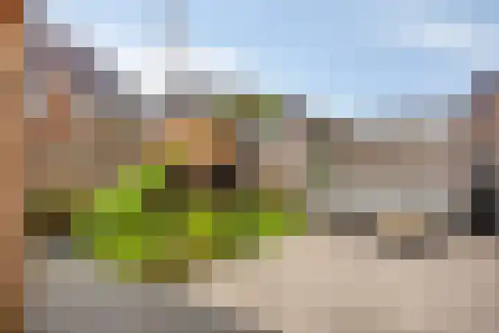 Geerestein 4 Ede thumbnail 16