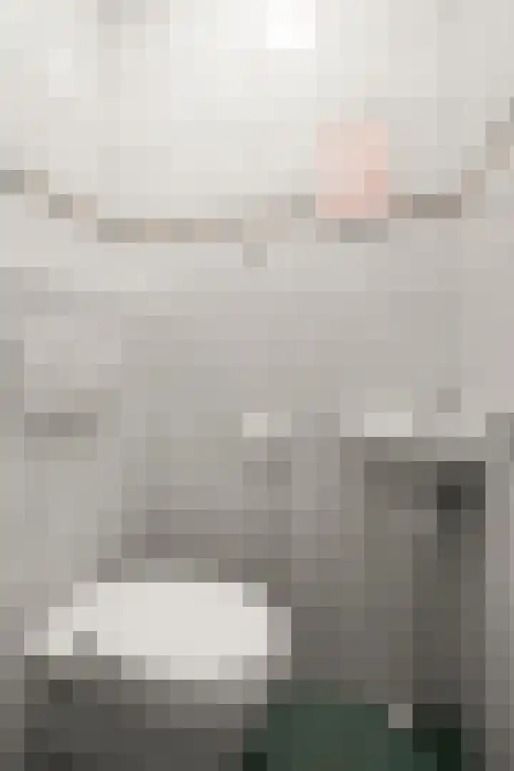 Geerestein 4 Ede thumbnail 19