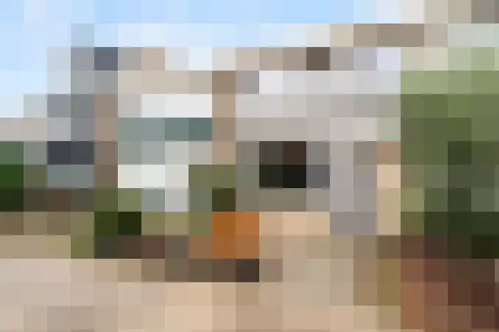 Geerestein 4 Ede thumbnail 6