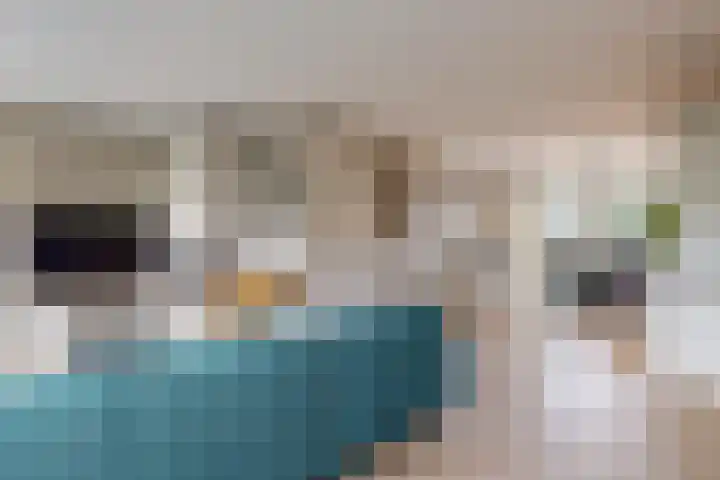 Geerkens 4 Limmen thumbnail 10