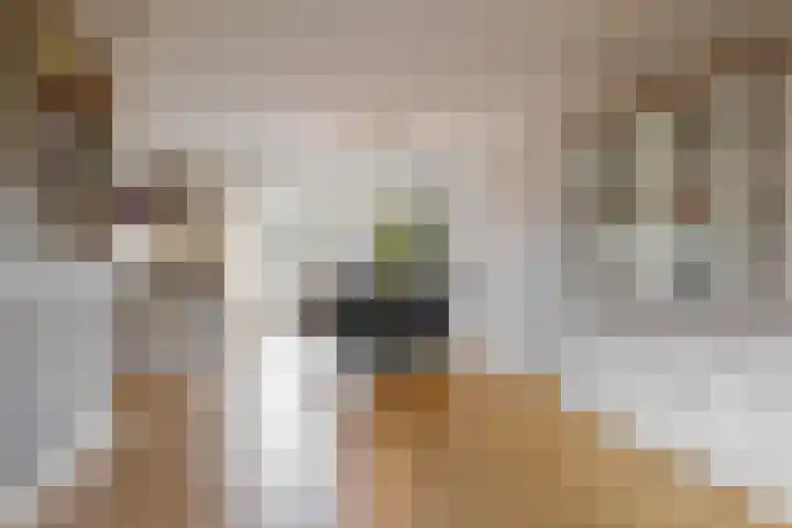 Geerkens 4 Limmen thumbnail 13