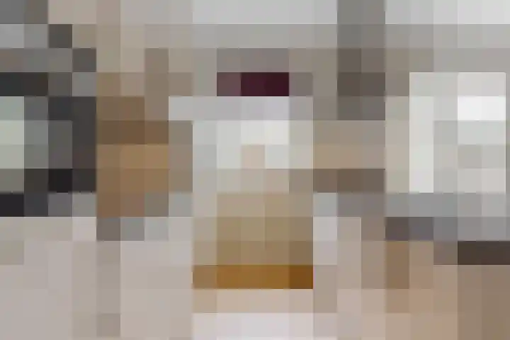 Geerkens 4 Limmen thumbnail 16