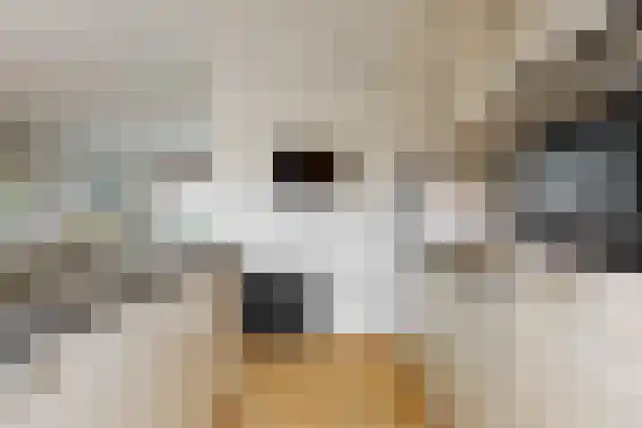 Geerkens 4 Limmen thumbnail 17