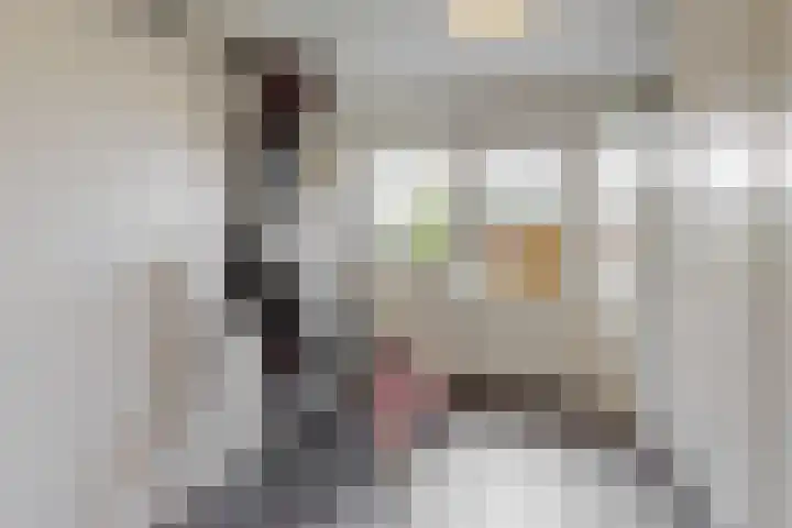 Geerkens 4 Limmen thumbnail 20