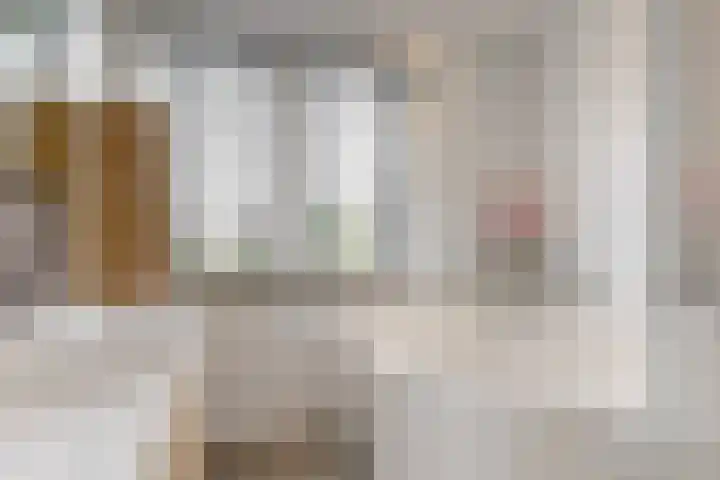 Geerkens 4 Limmen thumbnail 33