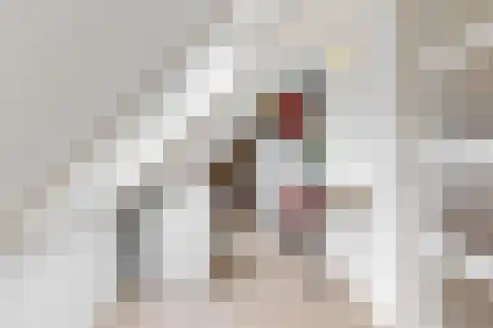 Geerkens 4 Limmen thumbnail 36